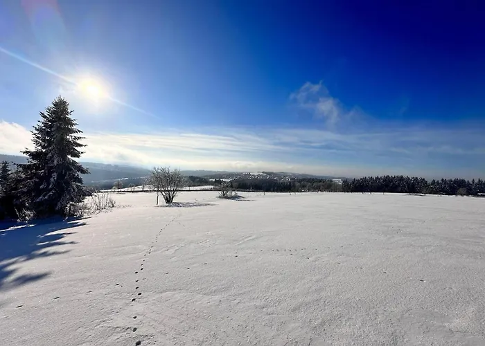 Lägenhet Panoramachalet Winterberg